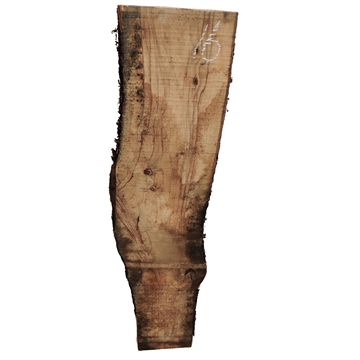Oliven - 25x170x870 mm