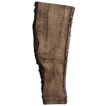 Oliven - 40x230x1120 mm