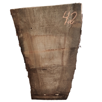Oliven - 40x250x700 mm