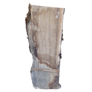 Oliven - 25x270x900 mm