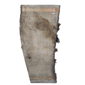 Oliven - 25x280x800 mm