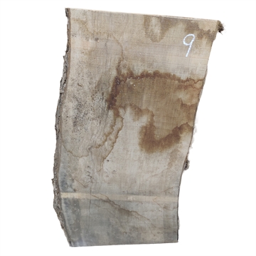 Oliven - 25x320x620 mm