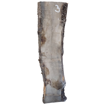 Oliven - 60x170x1000 mm