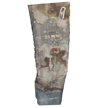 Oliven - 60x200x800 mm