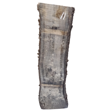 Oliven - 60 x160x800 mm