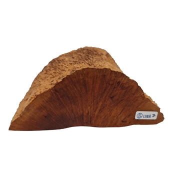 Bruyere rot - XL