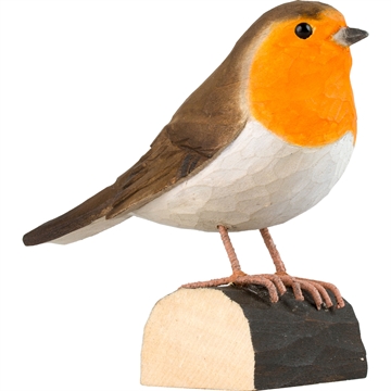 Träd Fågel Wildlife - Rödhake