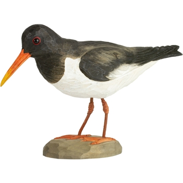 Träd Fågel Wildlife - Strandskata