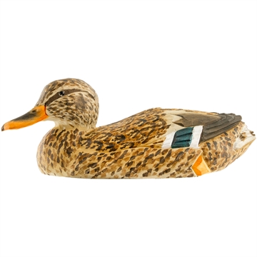 Träd Fågel Wildlife - Gräsandhona