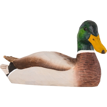 Träd Fågel Wildlife - Gräsandhane