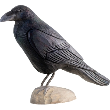 Träd Fågel Wildlife - Råka