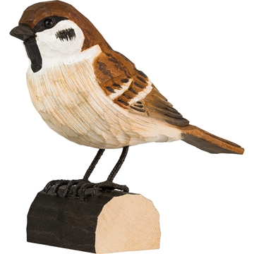 Träd Fågel Wildlife - Pilfink