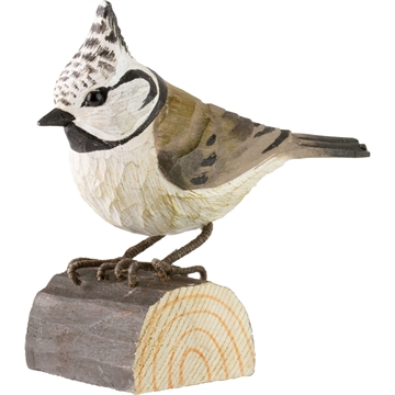 Träd Fågel Wildlife - Toppmes