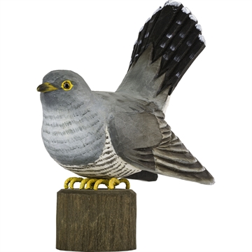 Träd Fågel Wildlife - Gök