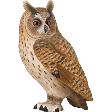 Träd Fågel Wildlife - Hornuggla