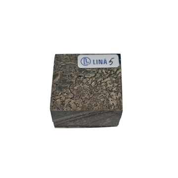 Dinosaurieben Stabiliserat - 23x40x40 mm