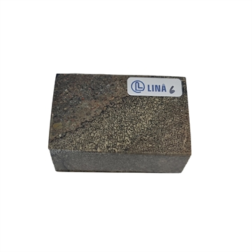 Dinosaurieben Stabiliserat - 23x40x60 mm