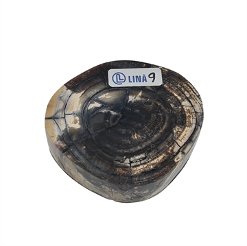 Mammut - Stabiliserad