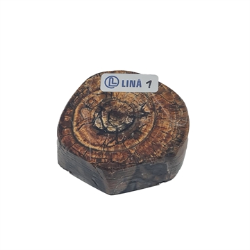 Mammut - Stabiliserad