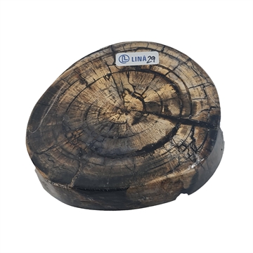 Mammut - Stabiliserad