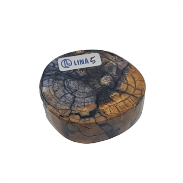 Mammut - Stabiliserad