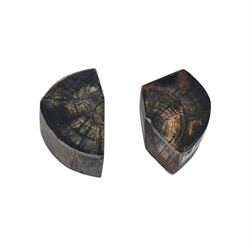 Mammut Stabiliserad - Holkar