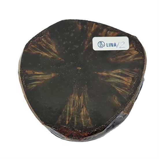 Stabiliserat Dansk Masurbjörk - Skiva