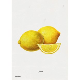Citron Litografi