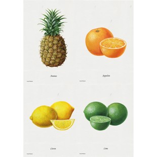 Frukt litografi - 4 st