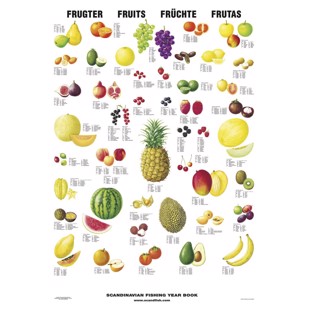Frukt Plansch