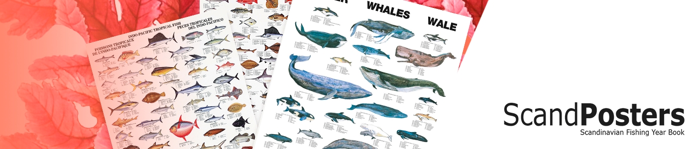 ScandPosters affischer varumärkesomslag